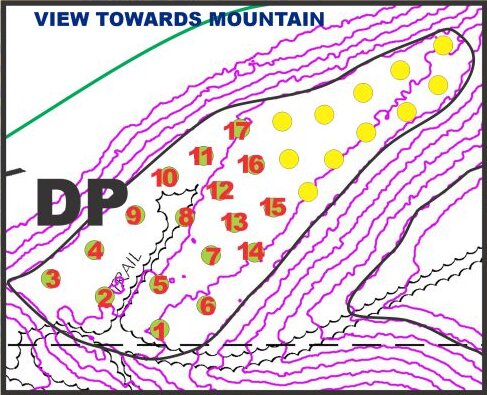 Plan of day picnic areas DP-1 to DP-17