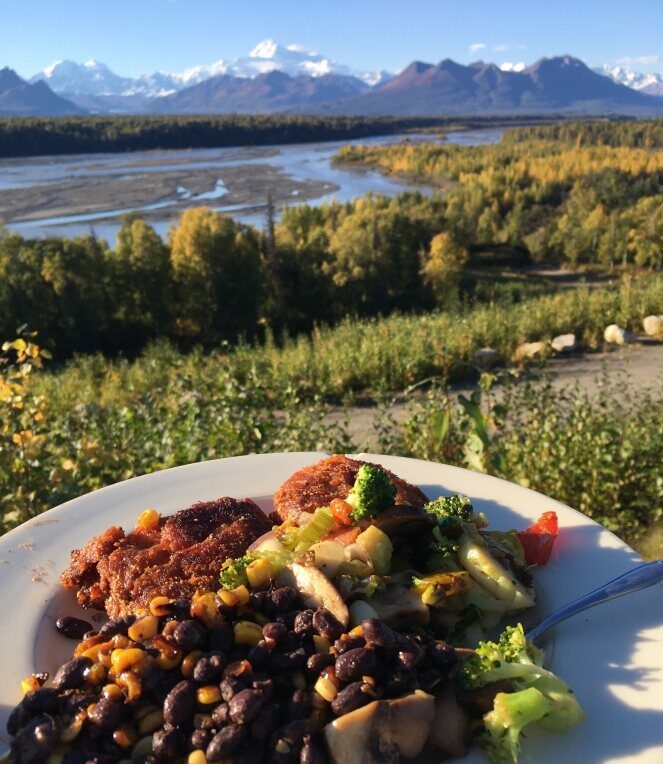 The Chulitna River valley from ARK@Denali